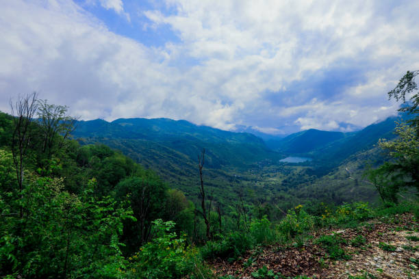 istock Panoramic View to the Blue Mountain Lake among the Green Forest Trees 1411439678