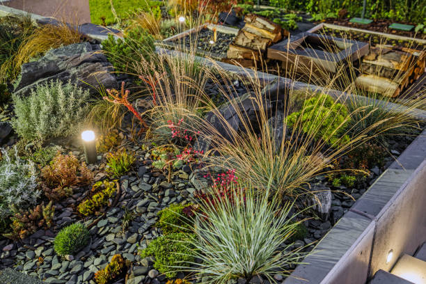 istock Beautiful Rockery Garden Illuminated at Night 1411440611