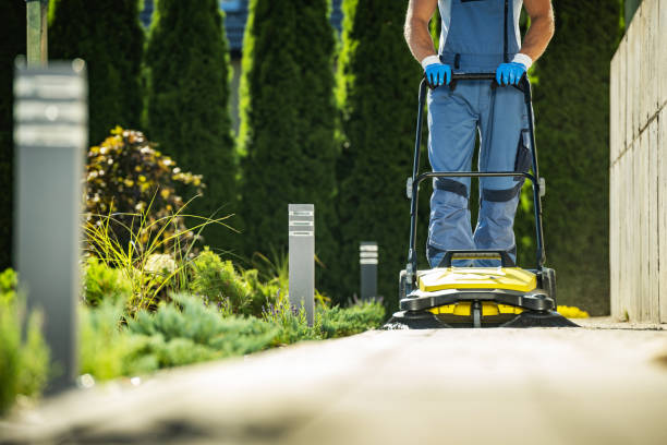 istock Landscaper Worker with Push Sweeper Cleaning Garden Pathway 1411440619