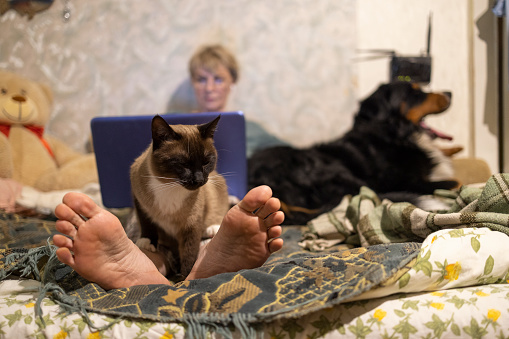 Mature women resting on the bed with laptop, surrounded with her pets.