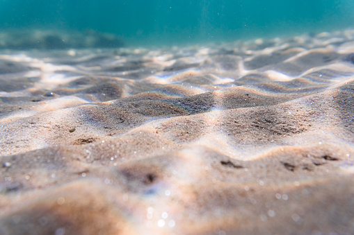 Seabed in shallow waters in a warm Aegean sea in Greece.
