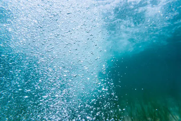 Photo of Underwater Bubbles At Sea