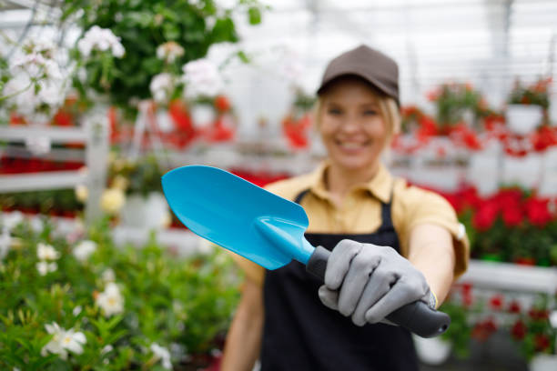 jardineira feminina mostrando uma espátula de mão - flower pot gardening glove glove protective glove - fotografias e filmes do acervo
