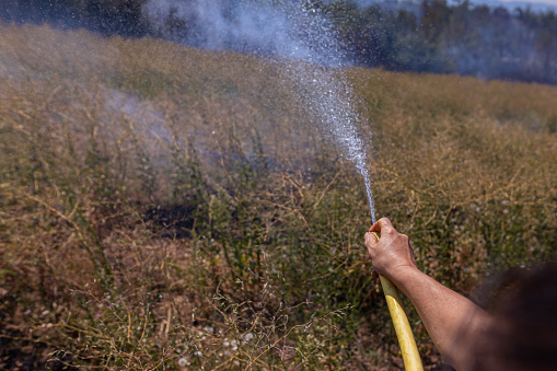 Cut out photo of female hand holding water hose and extinguishing the fire on meadow