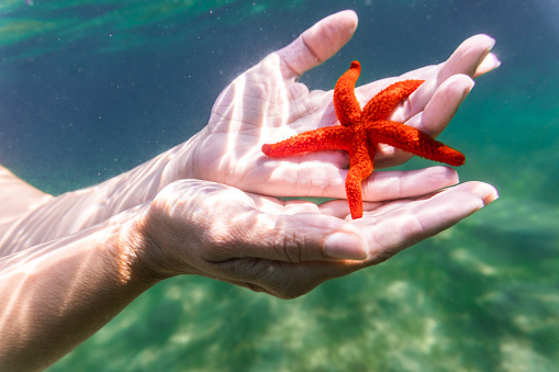 Young woman holding a starfish underwater in a warm Aegean sea in Greece.