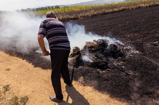 Back view of a senior farmer digging with a shovel burnt  and smoky ground in the field after a fire