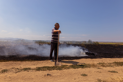 Senior farmer standing by burnt fields in agricultural area after artificially set fire
