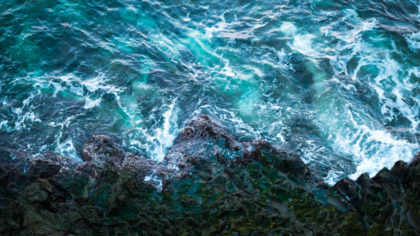 vagues de la mer - blue hair photos et images de collection
