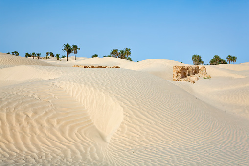 Sand Dunes near Douz (Kebili province) in Tunisia the gateway to the Sahara. Zaafrane, 12 km of Douz, where some ghostly ruins testify to a village swallowed up by the sands. Douz is a town in the Kebili Governorate in the south of Tunisia, known as the 