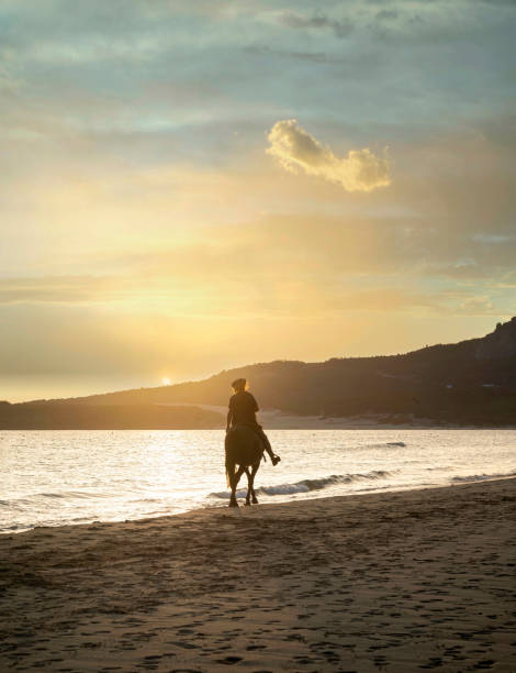 beau paysage marin. cavalier méconnaissable sur un cheval au coucher du soleil sur la plage. silhouette d’homme à cheval. - running horses photos et images de collection