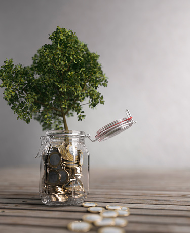 Money tree growth from a savings jar full of coins concept 3d render