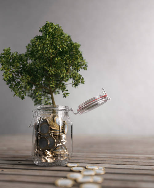 Money tree concept from savings 3d render Money tree growth from a savings jar full of coins concept 3d render financial wellbeing stock pictures, royalty-free photos & images