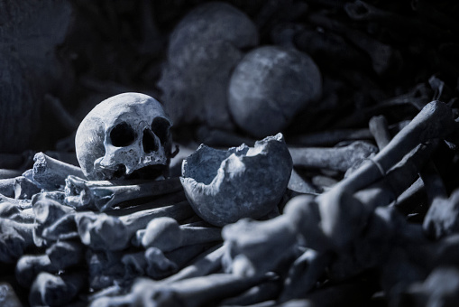 Human skull and bones in a grave.
