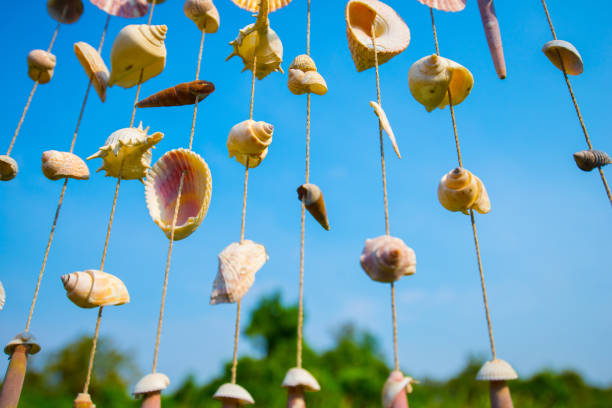 Many types of shells that are interwoven into a beautiful decoration.