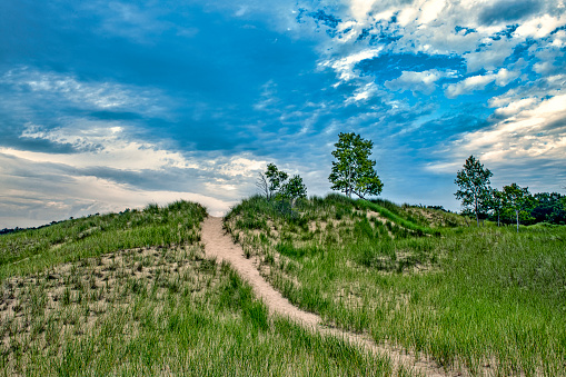A path is worn into the side of a hill which is a sand dune. Trees are at the crest of the hill and the sky is dotted with white clouds.