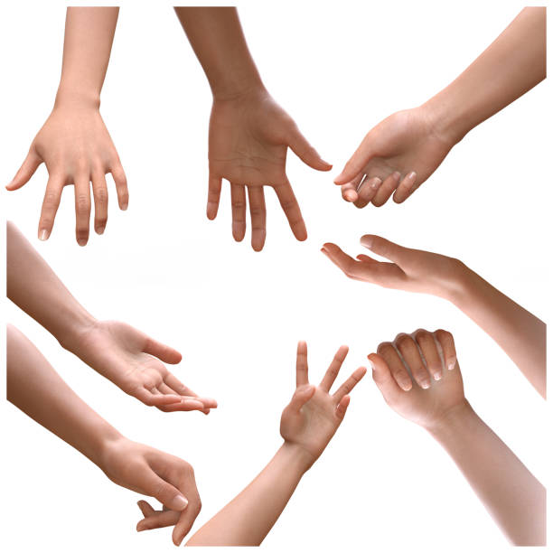 istock Cropped Hands Of People Gesturing Against White Background - CGI 1411457559