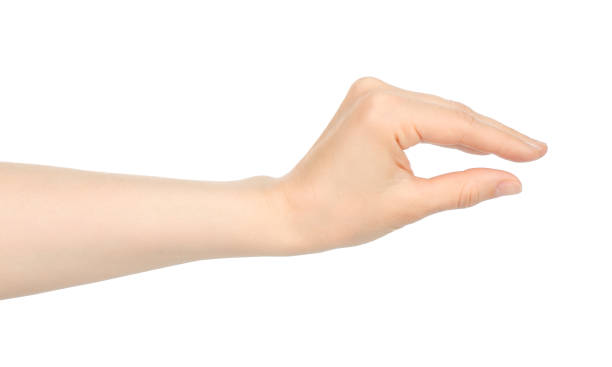 istock Woman hand shows virtual holding something, on white background 1411459296