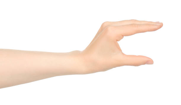 istock Woman hand shows virtual holding something, on white background 1411459321