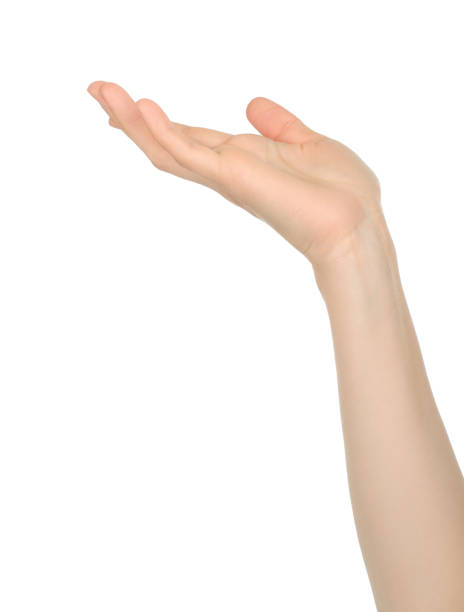 istock Woman hand shows virtual holding something, on white background 1411459357
