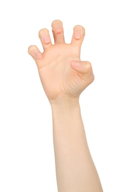 istock Woman hand shows like scratching, on white background 1411459396