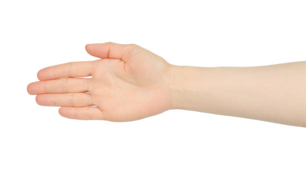 istock Woman hand shows handshake, on white background 1411459428