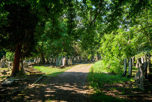 Two pathways, one grassy and the other dirt, inside an old suburban cemetery on a sunny summer day.