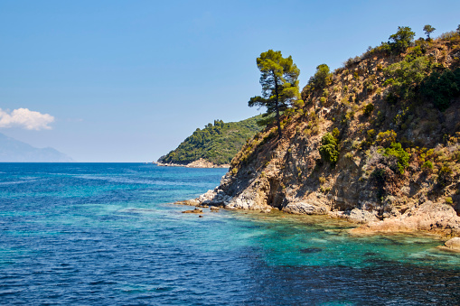 Grecce coast line stone and forest scene