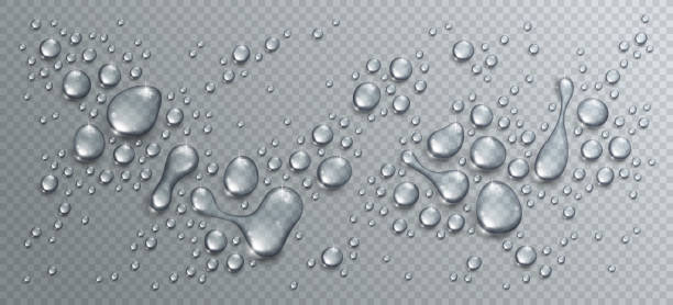 ilustrações de stock, clip art, desenhos animados e ícones de water rain drops or condensation in shower realistic transparent 3d vector composition over transparency checker grid, easy to put over any background or use droplets separately. - agua