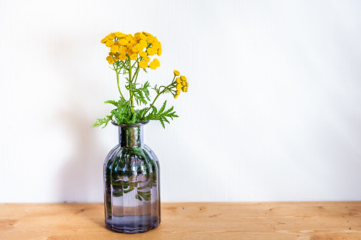 a bouquet of yellow tansy wild flowers in a glass vase standing on a wooden table against the background of a white wall