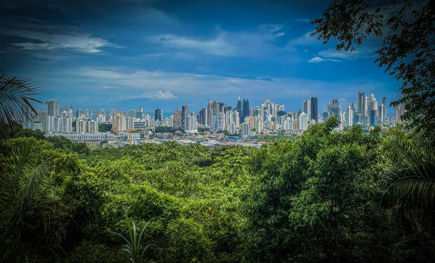 istock Panoramic view of Panama City 1411463363
