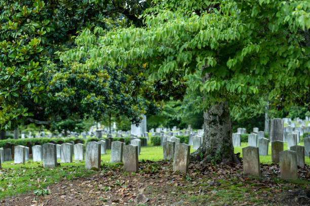 istock Tombstones in graveyard from the 1800s on a sunny summer day 1411468109