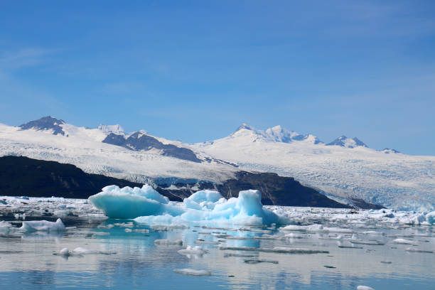 アイシー湾の氷山、ロビンソン山脈のギヨー氷河、アラスカ、アメリカ合衆国 - glacier alaska iceberg melting ストックフォトと画像