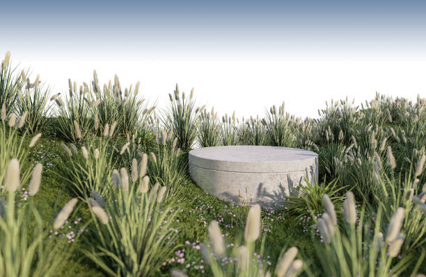 istock A 3d rendering image of product display on grass field 1411471570