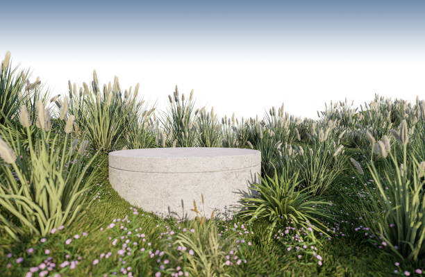 istock A 3d rendering image of product display on grass field 1411471586