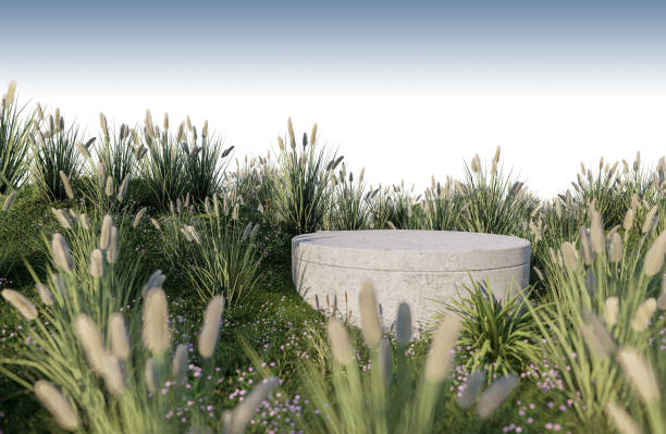 istock A 3d rendering image of product display on grass field 1411471591