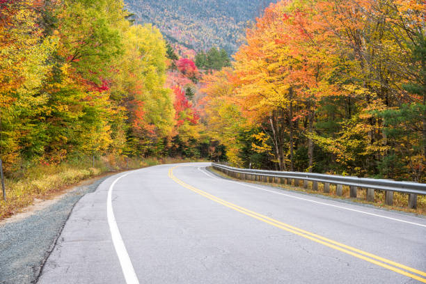 istock Empty mountain pass road through a forest in autumn 1411472753