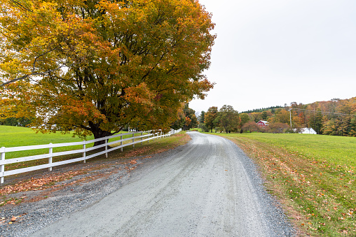 White wooden fence along an empty gravel road running through the countryside of Vermont on a cloudy autumn day. Autumn colours.