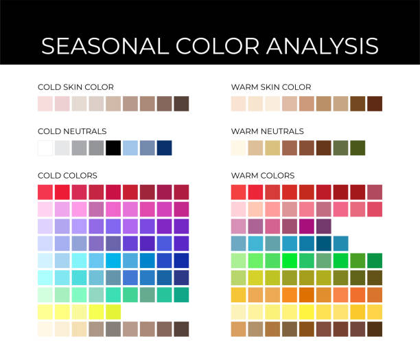 sezonowa paleta do analizy kolorów z zimnymi i ciepłymi próbkami kolorów, neutralnymi, odcieniami skóry - cold tint stock illustrations