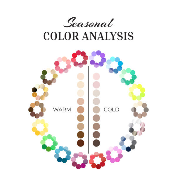 ilustrações de stock, clip art, desenhos animados e ícones de seasonal color analysis wheel palette with cold and warm colors and skin swatches - cold tint