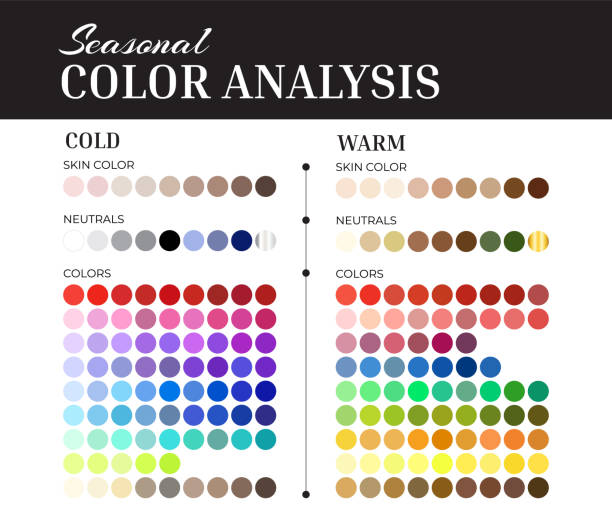 Seasonal Color Analysis Palette with Cold and Warm Color Swatches for Skin Colors, Neutrals, Shades, Gold and Silver Seasonal Color Analysis Palette with Cold and Warm Color Swatches for Skin Colors, Neutrals, Shades, Gold and Silver skin tone chart stock illustrations