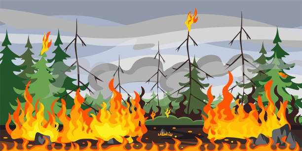ilustrações de stock, clip art, desenhos animados e ícones de vector illustration of natural disaster. cartoon landscape with forest fire that destroyed all vegetation. - contratorpedeiro