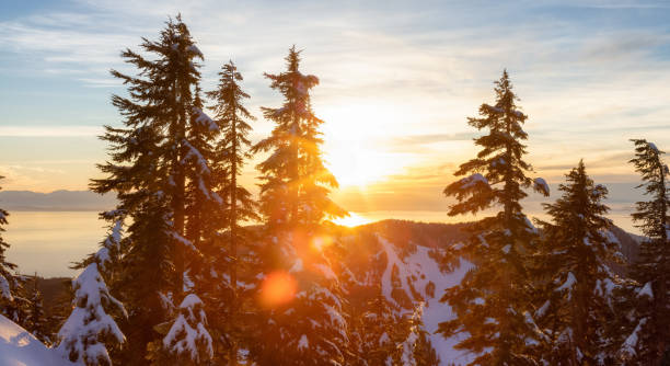 Sunset View from top of Hollyburn Mountain in Winter Season. Sunset View from top of Hollyburn Mountain in Winter Season. West Vancouver, British Columbia, Canada. Canadian Nature Background west vancouver stock pictures, royalty-free photos & images