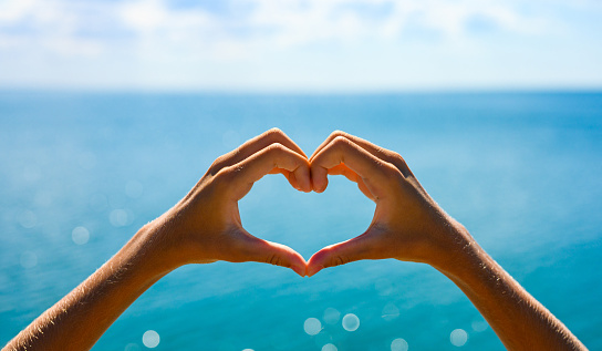 Heart shaped palms on the background of the blue sea on a sunny day.