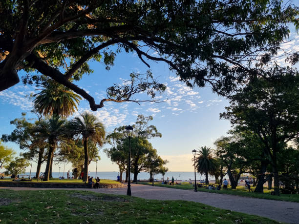 istock Afternoon in a public park 1411484071