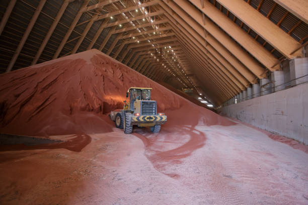 istock Warehouse of potash fertilizer plant production. 1411486172