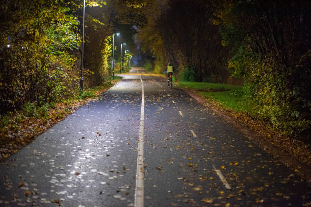 istock Two lane bike path almost covered in leaves at night.. 1411488809