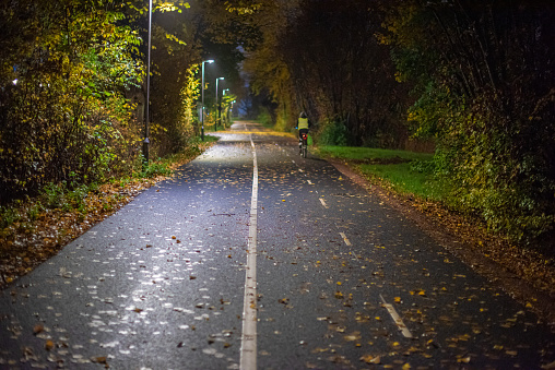 Two lane bike path almost covered in leaves at night.
