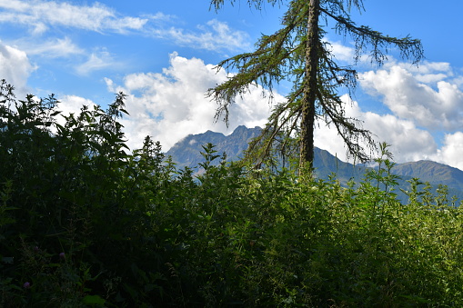 Beautiful landscape in Val d'Ultimo in South Tyrol