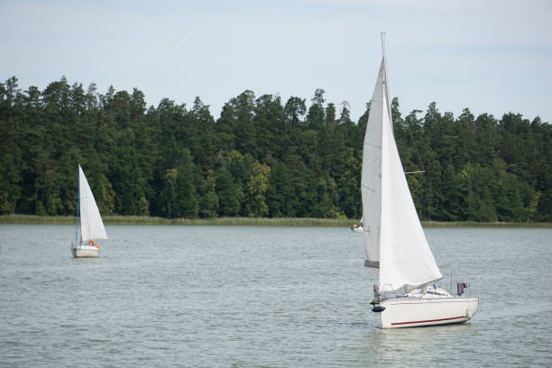 istock Sailboats swimming on a lake 1411490505