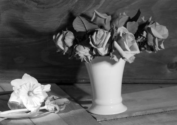 Black and White Vases in Still Life Photography